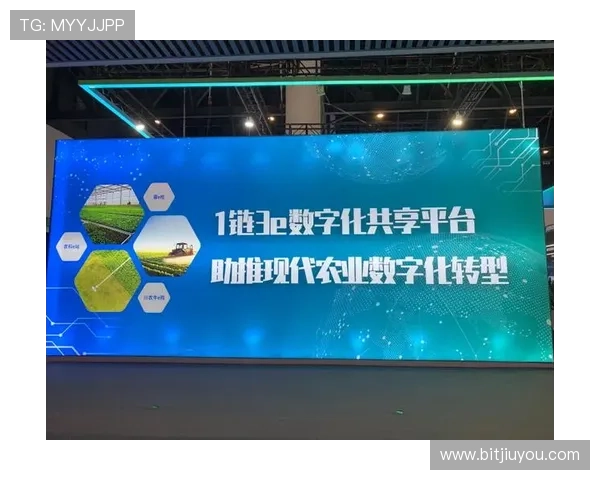 九游体育数字站:打造多元化体育内容生态的数字化新平台 九游体育数字站:打造多元化体育内容生态的数字化新平台
